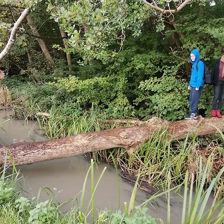 Apartment Hyggelig I Gaafstand Til Ballen Og Lystbadehavn - Taet Pa Ohavsstien *
