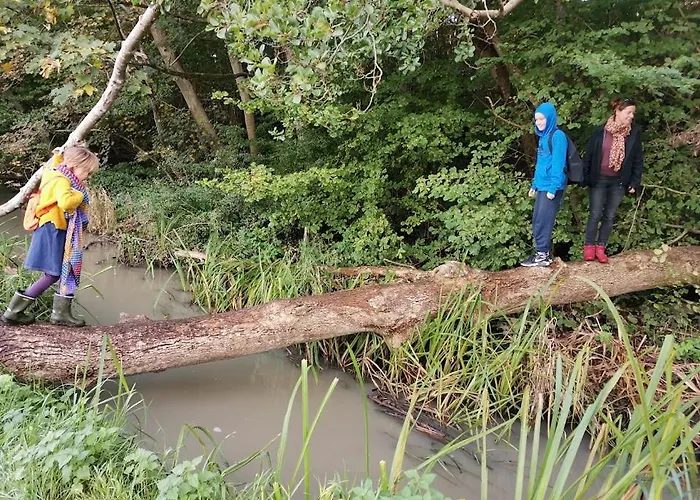 Apartment Hyggelig I Gaafstand Til Ballen Og Lystbadehavn - Taet Pa Ohavsstien *